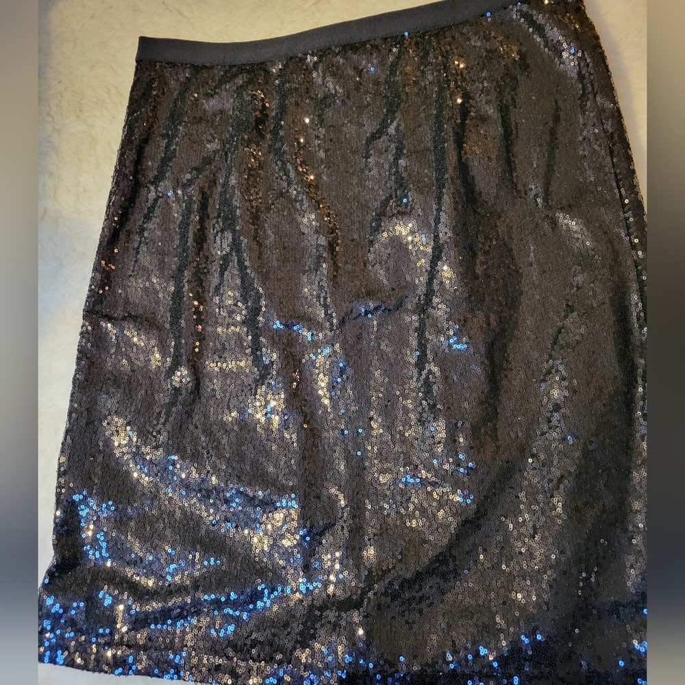 ISAAC MIZRAHI LIVE Sequins Skirt XL/1X